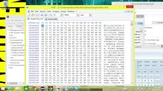 Binary versus ASCII