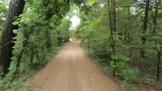 The 600 Trail Section of St. Joe State Park ORV Area