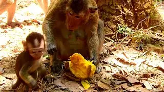 Cruel April Not Share Baby Even Hungry, Mother Threaten Seriously, Don't Touch My Food