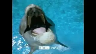 David Attenborough BBC advert. Natural history night. 1999
