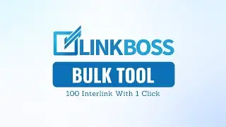 Bulk Tool - How to Use - LinkBoss Official Tutorial
