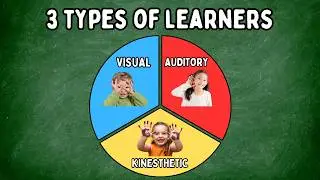 Different Types of Learning Styles For Young Children