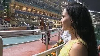Horse Racing at the Hong Kong Jockey Club Happy Valley