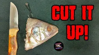 All the Ways to Use Cut Bait for Catfish!