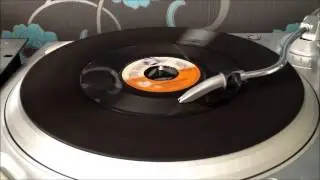 Pioneers - Long Shot Kick The Bucket (Trojan 1969).