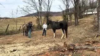 Groundwork & Trust &ndash; Part 1: Getting Ready with Emma & Graceyn