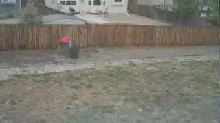 Time Lapse - Backyard weeding