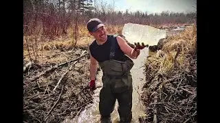 Icy Spring Beaver Dam Removal
