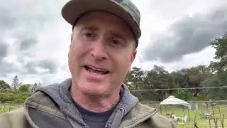 Vineyard grafting how to