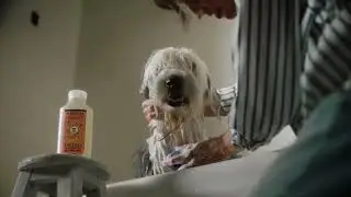 MRS. MEYER'S CLEAN DAY Dog Deodorizing Spray