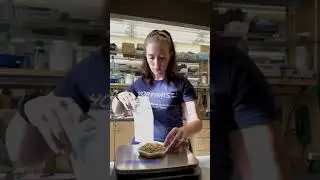 Micro Malting | Malt Quality Lab