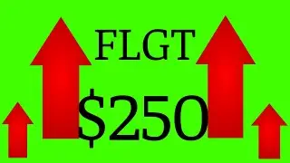 Day Trading FLGT $250 (17/03/2020)