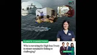 Climate Connections: Why is executing the High Seas Treaty to ensure sustainable fishing so chall...