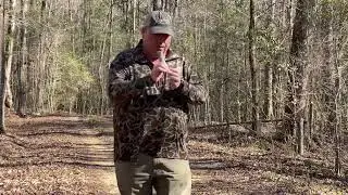 The Morning Striker Owl Hooter
