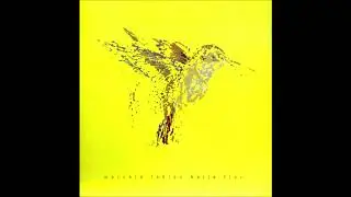 Marcelo Fabian - Galgo