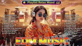 Focus Boost Progressive House 2026 Avicii Lost Frequencies Alesso Style Chill EDM for Productivity