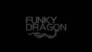 Funky Dragon - Kymonic
