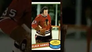 Tony Esposito Chicago Blackhawks 1980-81 O-Pee-Chee 150 NHL Hockey Card