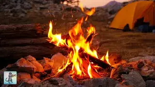 Campfire Close-up 🔥 Relaxing Fireplace Sounds 🔥 Burning Fireplace & Crackling Fire Sounds (NO MUSIC)