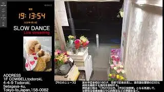 【Mon.01/19/2026 Livecamera at the florist】 スローダンス SLOWDANCE 等々力 尾山台 世田谷 Setagaya 東京 Tokyo 日本 Japan
