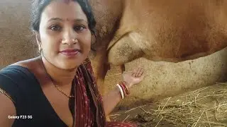 kalyani  vlogs is live