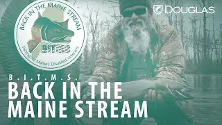 Back In The Main Stream - Veteran Fishing