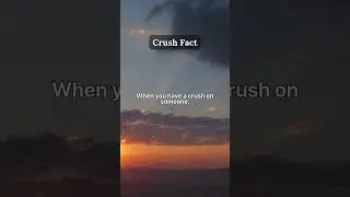 Crush Facts: What Happens to Your Brain When You Like Someone | Daily Facts #facts #crushfacts