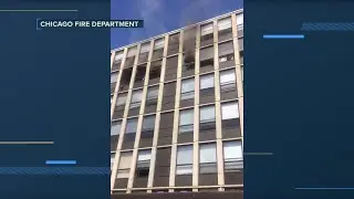 Cat jumps to safety out of Chicago burning building