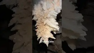Cave full of some of the rarest crystal formations #caving #explore #outdoors #underground #tagcave