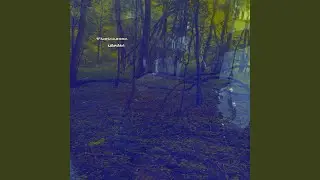 Sound Searching 2