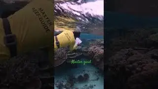 Master Guide in ocean  #adventure