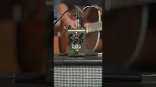 Thicken your jazz guitar tone with the Strymon Brig Delay #shorts