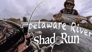 Рыбалка на реке Делавэр (забег Shad 2024)