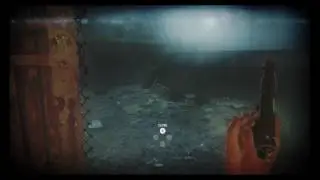 Cutscene Glitch?- Zombiu (WiiU)