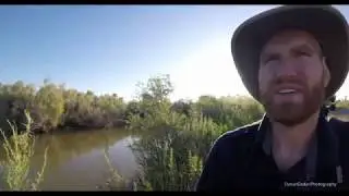 Wildlife Photography | Wildlife Walkabout Ep. 1 | Yolo Bypass Wildlife Area