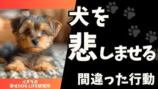 犬を悲しませる飼い主の間違った行動