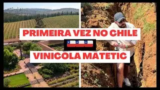 Vin&iacute;cola matetic! Visitei o Chile pela primeira vez e