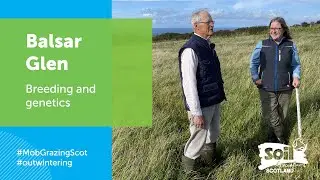 Mob Grazing: breeding and genetics tips for outwintering the herd