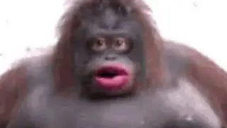 MONKEY TYPE BEAT (prod. energy)