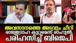 മഷിക്ക് പകരം വിരലില്‍ മാര്‍ക്കര്‍പേന ഉപയോഗിച്ചെന്ന രാഹുലിന്റെ ആരോപണം പരിഹാസ്യം; ബിജെപി