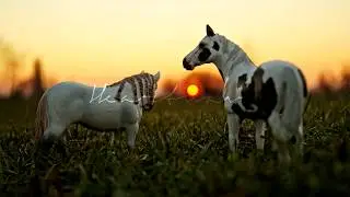 Realistic Modelhorse (Schleich) Pictures | #15