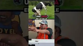 Un rancho? Claro que si para jose