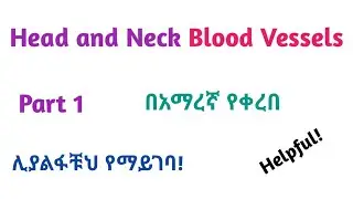 Anatomy ǀ Blood Vessels/Supply of Head and Neck, Interesting Video with Amharic Speech, Part 1