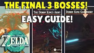 Zelda Tears Of The Kingdom | The Final 3 Boss Fights Guide! | EASY | No Commentary!