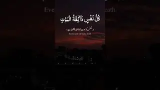 The Profound Verse in the Quran that Reveals the Universality of Mortality Prepare to be Amazed!