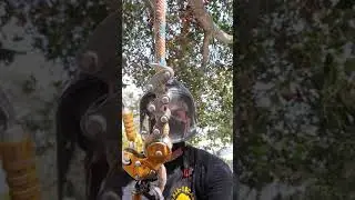 Petzl Zig Zag Whats the problem 🤔 slipping zig zag while cleaning nasty rats nests in tree