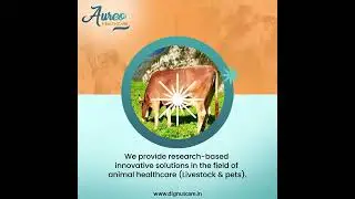 About Aureo Healthcare - Caring fo creatures great and small.