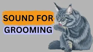 Sounds Cats React To &ndash; Play This Video to Your Cat for Cute Grooming Reaction