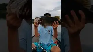 Ten Pound Bass caught on Plastic Worm