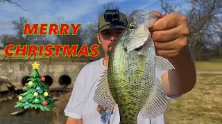 Holly Jolly Fishmas!!